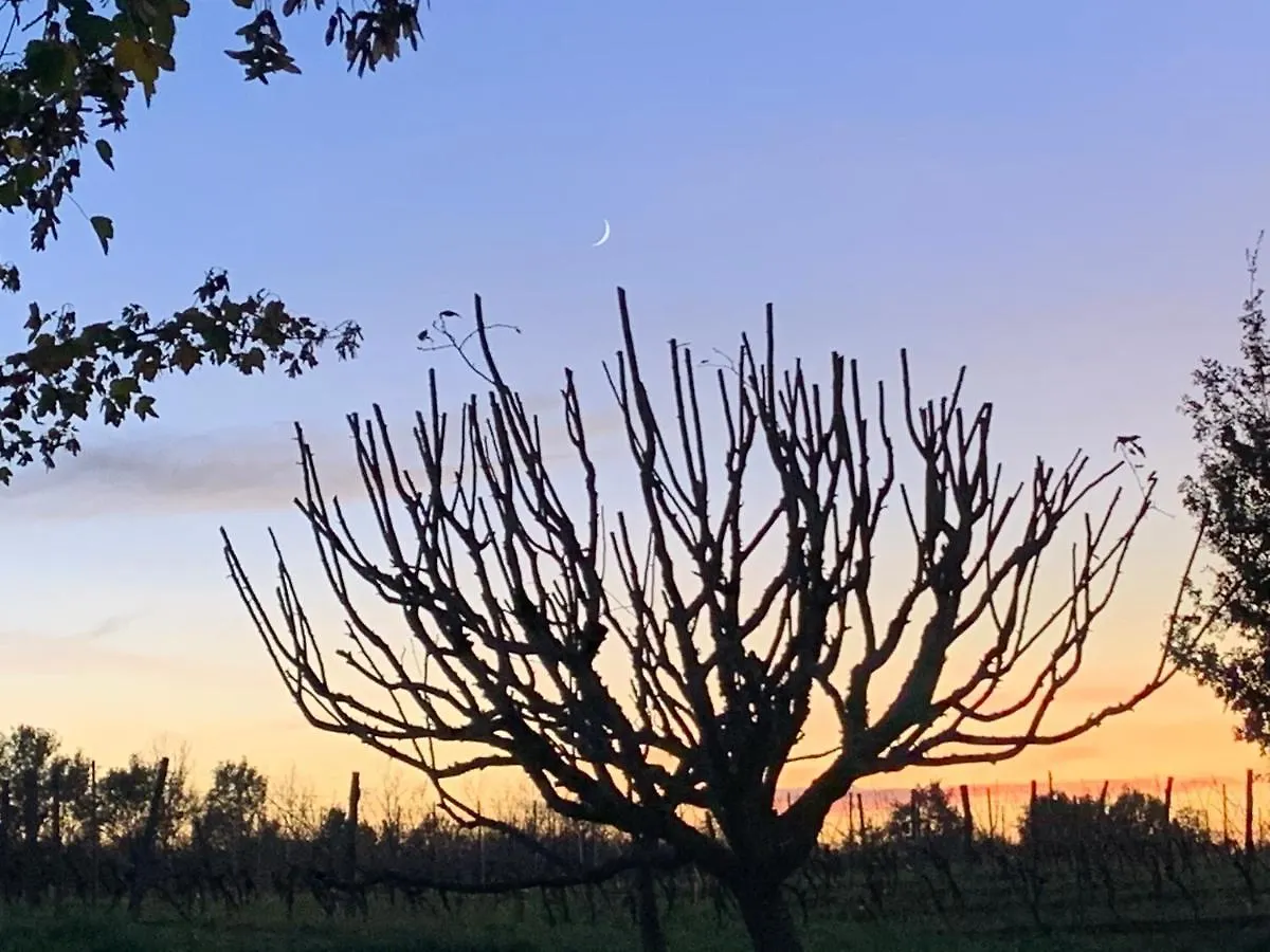 Majellon, Appartement à l‘ouest Sainte-Christie-d'Armagnac